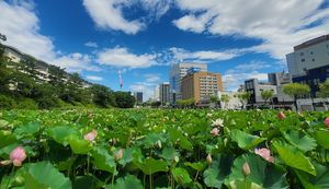 秋田市の特色を活かしたイベントを開催！「千秋蓮まつり」ご担当者様にインタビュー