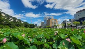 秋田市の特色を活かしたイベントを開催!「千秋蓮まつり」ご担当者様にインタビュー