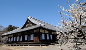 納豆や常陸牛、干し芋など地域の特色を活かした返礼品が充実!茨城県水戸市のふるさと納税返礼品についてインタビュー