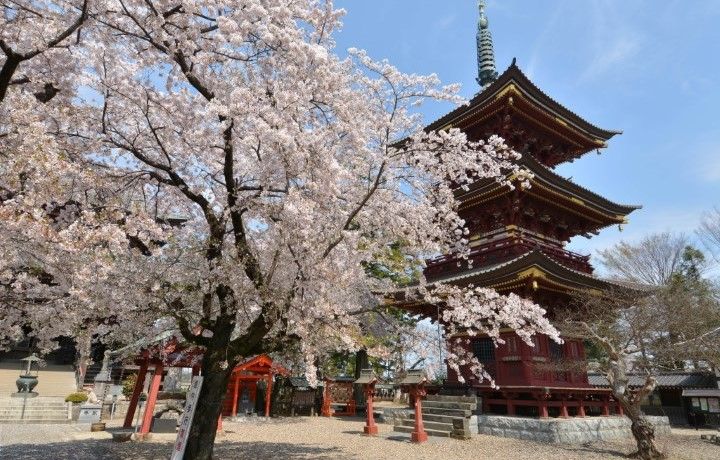 茨城県つくばみらい市の人気のふるさと納税返礼品は？まちの特徴や寄附金の使いみちも紹介