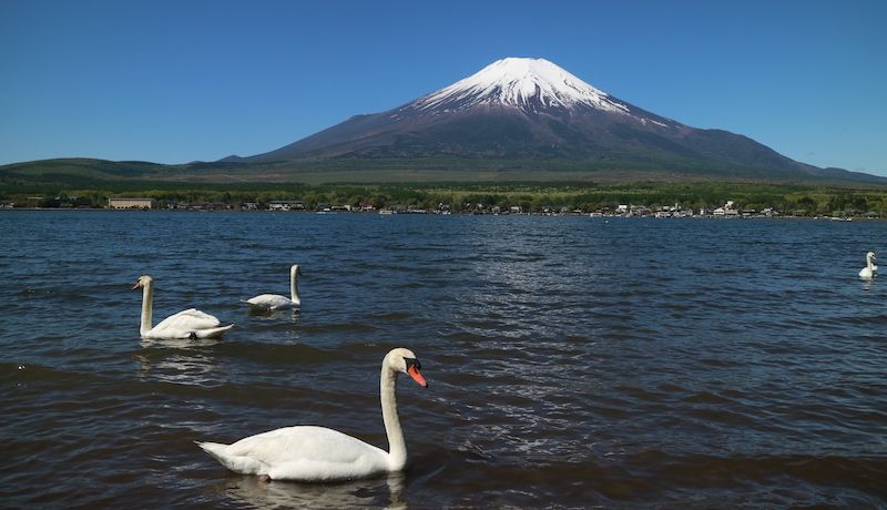 富士山の大自然に恵まれた山梨県山中湖村のふるさと納税返礼品をご紹介