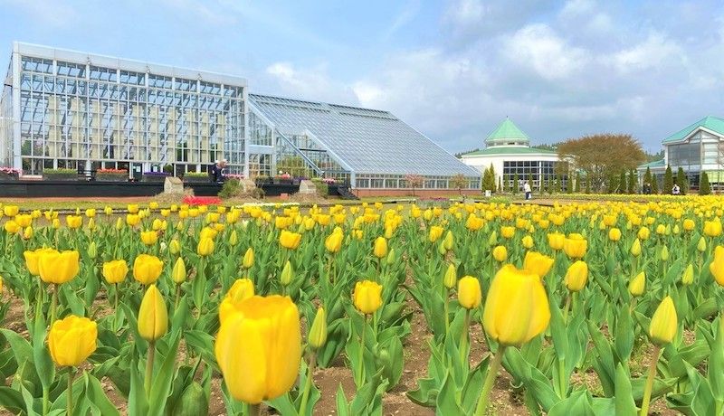 カニやお米、スイーツなど美味しい返礼品が人気！秋田県潟上市のふるさと納税についてインタビュー