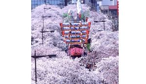 ものづくりのまち・茨城県日立市の魅力とは?ふるさと納税返礼品をご紹介